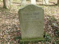 Grabstein von Veilchen Dilloff, geborene Stern auf dem Jüdischen Friedhof in Lübeck Moisling, Aufnahme Leonid Kogan 2013